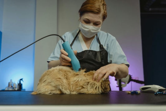 Professional Guidelines for Pet Grooming